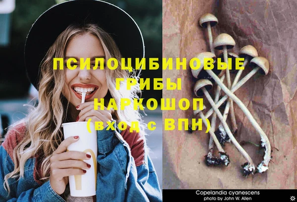 МДМА Верея