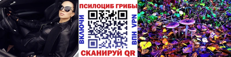 Псилоцибиновые грибы прущие грибы  наркотики  Лихославль 